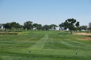 Silver Sage 11th